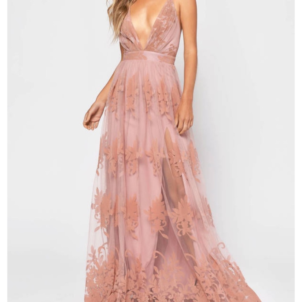 Brand new blush tulle maxi dress from Tobi. Size L